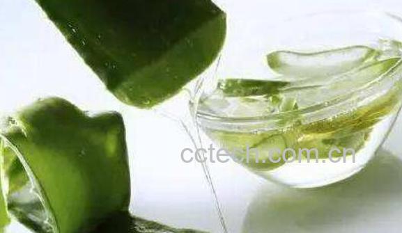 芦荟胶如何用 芦荟胶的正确用法-1