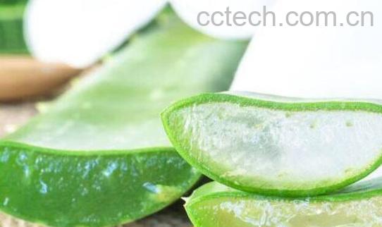 做芦荟灌肤的九大好处 芦荟灌肤的副作用-1