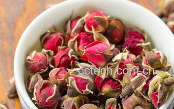 金边玫瑰和平阴玫瑰有什么区别-1