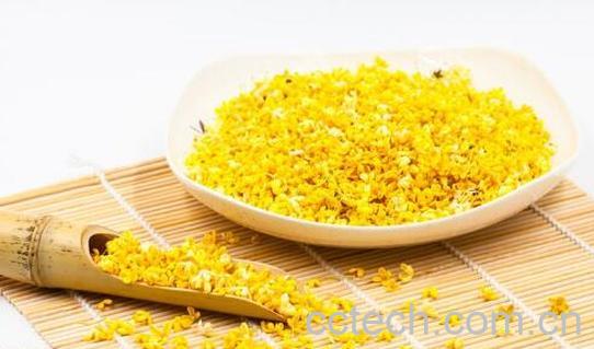 鲜桂花怎么处理才能吃 鲜桂花可以怎么吃-0