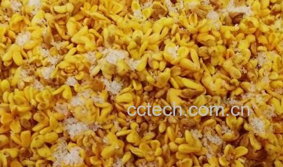 糖桂花的功效与作用及禁忌-1