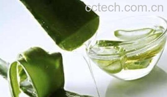  芦荟汁液的功效与作用 -0
