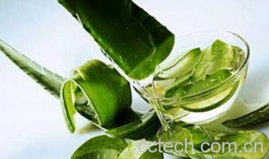 新鲜芦荟涂脸的功效与作用-0