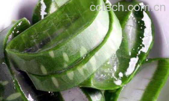 鲜芦荟汁擦脸的好处与正确方法-1