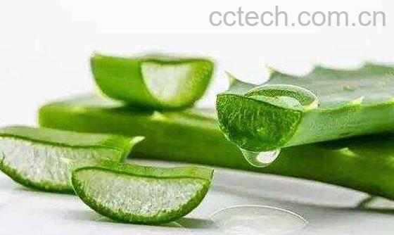 鲜芦荟汁擦脸的好处与正确方法-0