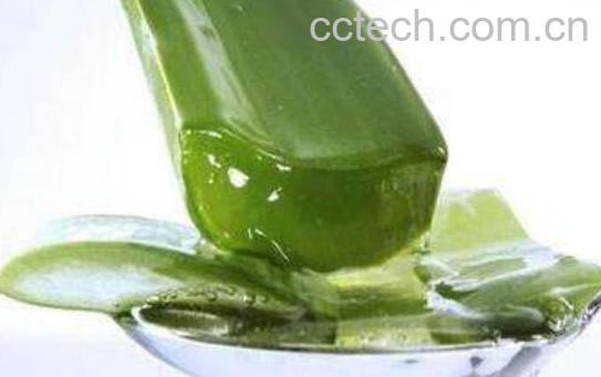 芦荟怎么吃 芦荟的食用方法-0