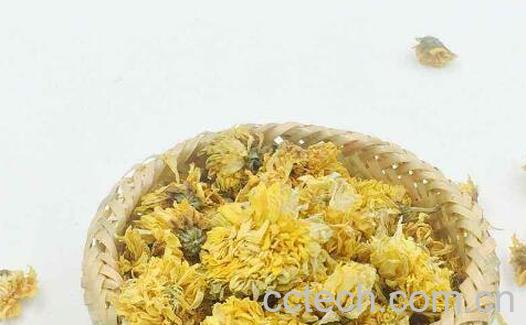 元芙菊和怀菊花有什么区别 元芙菊的功效与作用-0