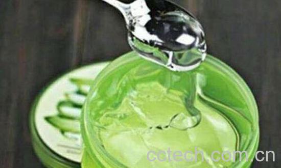 芦荟胶的功效与作用 每天用芦荟胶的危害-1