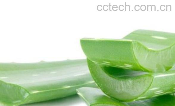 芦荟叶子熬水有什么功效-1