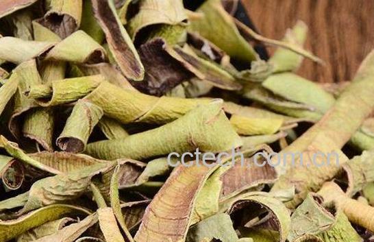 芦荟如何晒干 新鲜芦荟怎么晒干的快-0