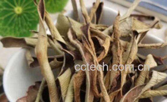 干芦荟叶的功效与作用-1