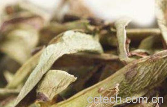 干芦荟叶的功效与作用-0