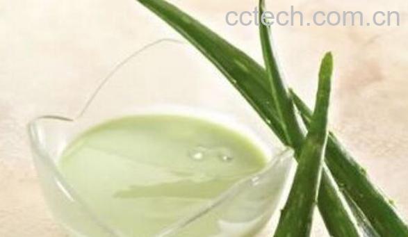 芦荟怎么美容 用芦荟美容的方法技巧教程-1