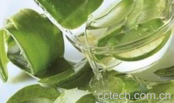 新鲜芦荟涂脸正确方法 新鲜的芦荟的作用-1