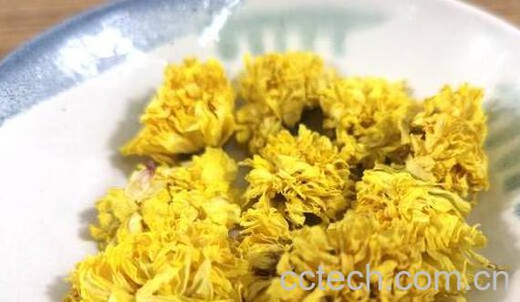 怀菊花的功效与作用及禁忌-1