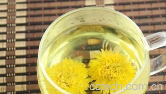 菊花泡水喝的功效与作用 菊花泡水喝的副作用与禁忌-0