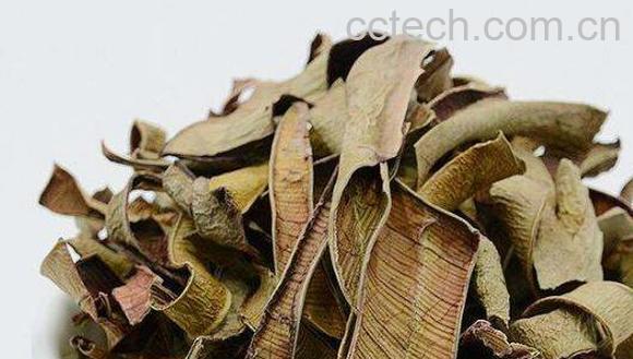 芦荟干的功效与作用-0