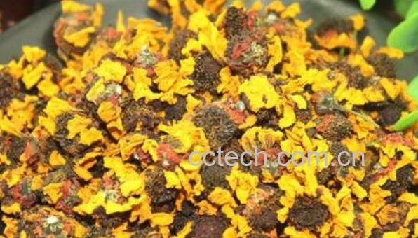 菊花的功效与作用 菊花的药用价值-0