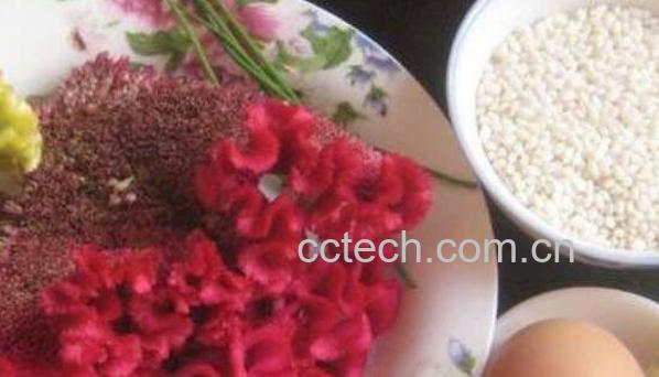 鸡冠花怎么吃 鸡冠花的食用方法-0