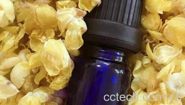 腊梅油的用途有哪些 腊梅油的药用价值-0