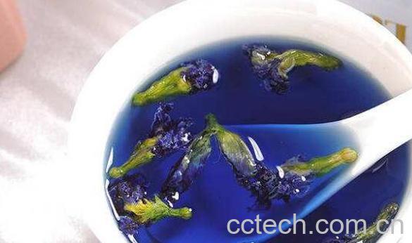 蝶豆花泡茶的功效与作用 蝶豆花泡茶的副作用-1