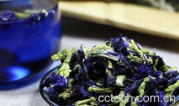 蝶豆花的功效与作用 蝶豆花不适合什么人吃-0