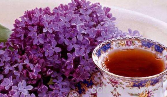 薰衣草泡水的作用与功效-1