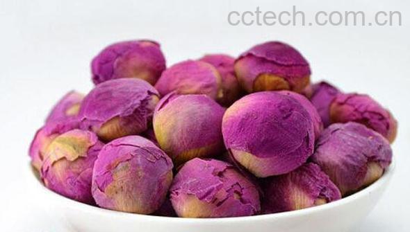 干牡丹花的功效与作用-0