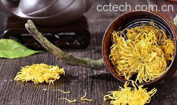 金丝皇菊的功效与作用及食用方法-0