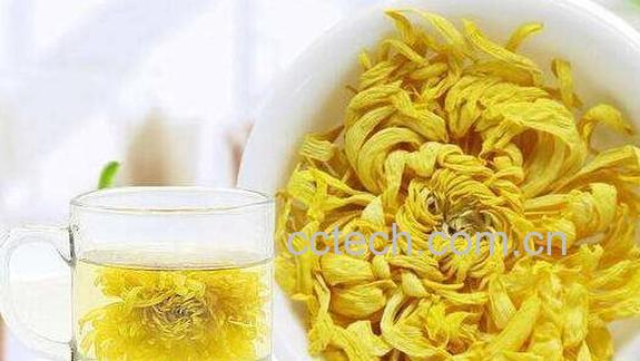 金丝皇菊的功效与作用及食用方法-1