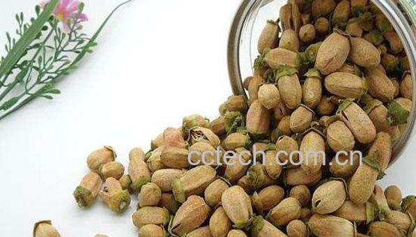 玳玳花的功效与作用有哪些-0