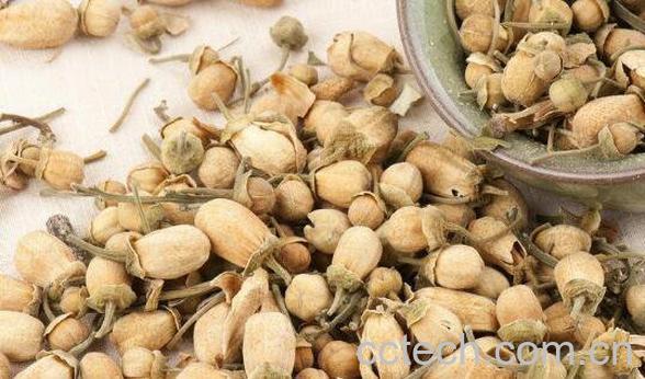 玳玳花的功效与作用有哪些-1