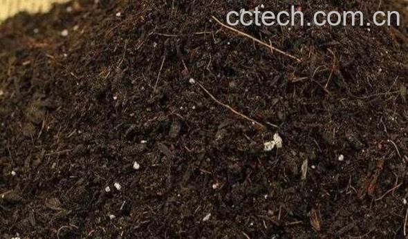 花土怎么配 最简单的多肉植物配土方法-0