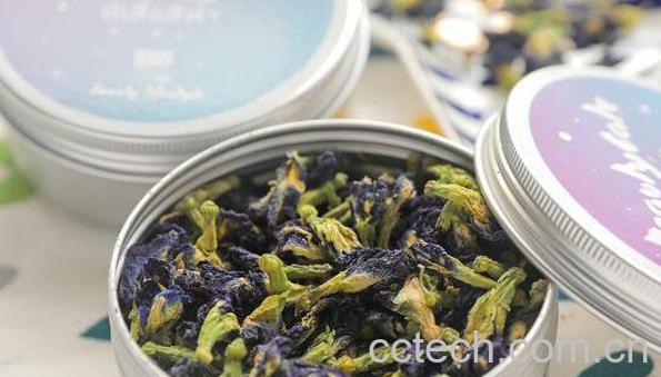 蝶豆花泡茶的副作用 蝶豆花什么人不适合吃-0