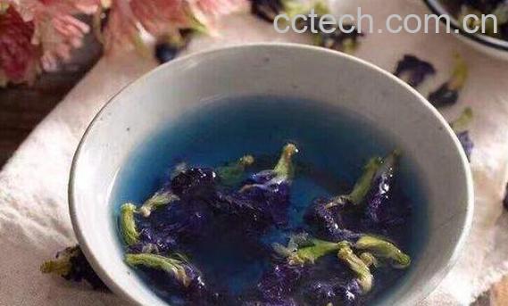 蓝蝴蝶花泡水喝的功效-1