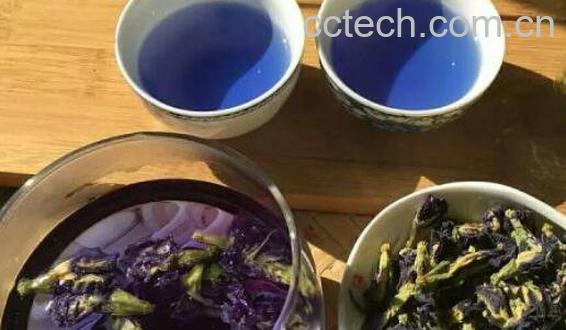 蓝蝴蝶花泡水喝的功效-0