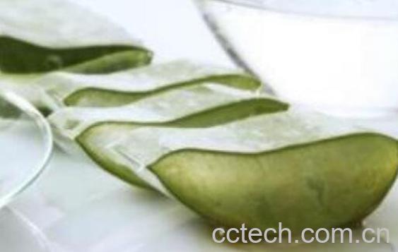 新鲜芦荟涂脸的正确方法-1