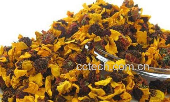 昆仑雪菊的功效与作用 新疆雪菊的功效与作用-1