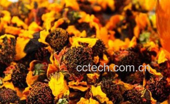 昆仑雪菊的功效与作用 新疆雪菊的功效与作用-0