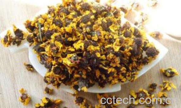 雪菊的功效与作用有哪些-0