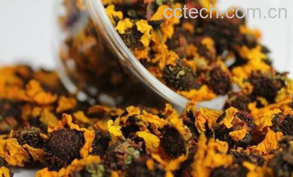 雪菊的功效与作用有哪些-1