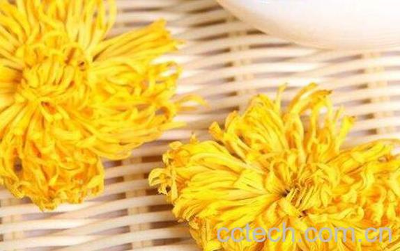 金丝皇菊的功效与作用及禁忌-1