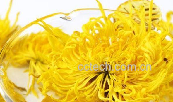 金丝皇菊的功效与作用-1