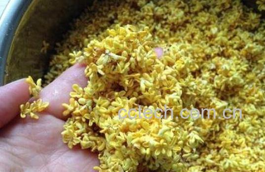 干桂花能直接吃吗 干桂花怎么吃最好-0