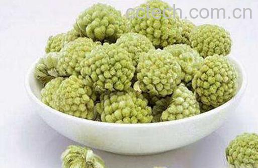 绿萝花的功效与作用-0