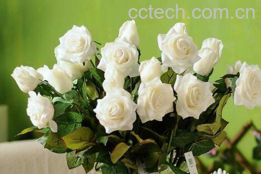 摘下来的花怎样保存 鲜花怎么保存时间长-1