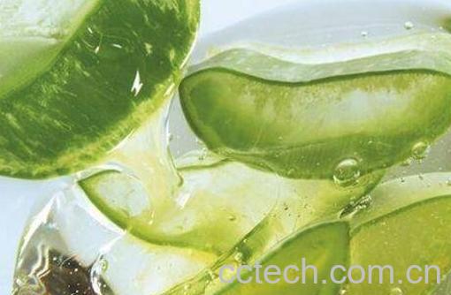 芦荟有哪些功效与作用-0