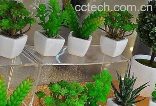 怎么用啤酒浇花 啤酒浇花的正确方法-1