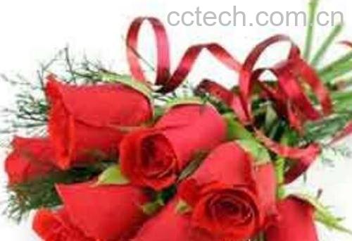 玫瑰花怎么保存-1