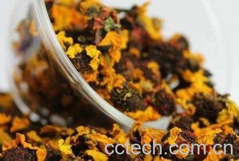 雪菊与什么相克-1